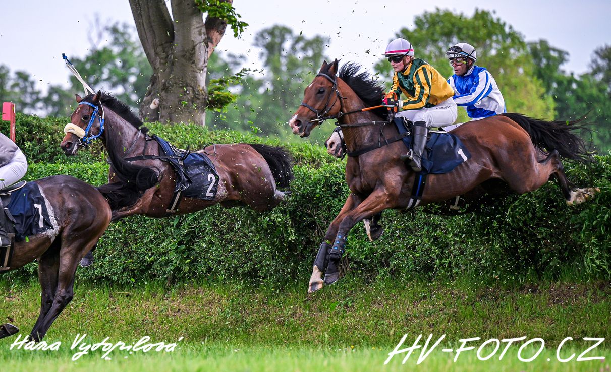 DSC_1954 kopie.jpg